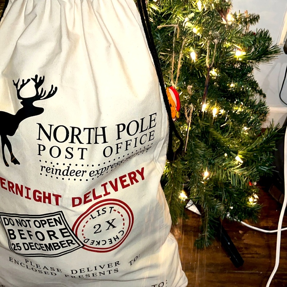Christmas gift bags, large, tree, red, Santa sack
27H and 19W. New. 3 available